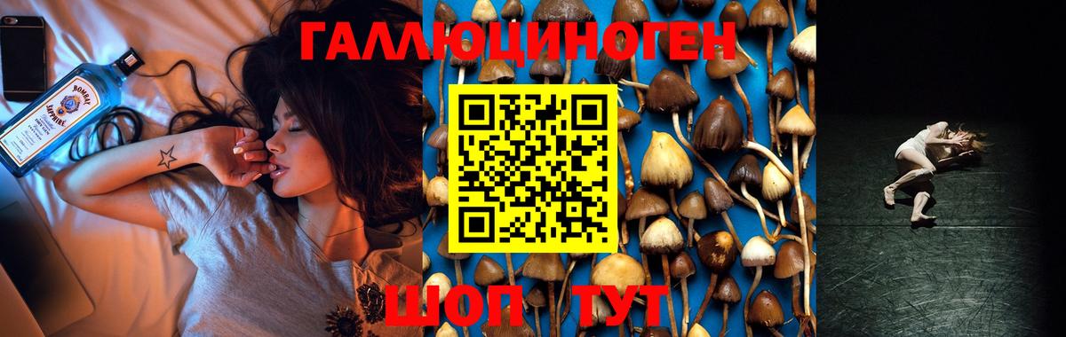 Псилоцибиновые грибы ЛСД  Вход с VPN  Тихорецк 